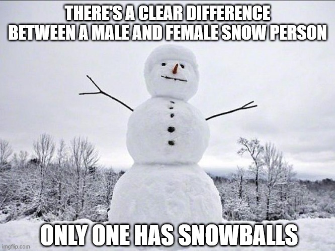 Round | THERE'S A CLEAR DIFFERENCE BETWEEN A MALE AND FEMALE SNOW PERSON; ONLY ONE HAS SNOWBALLS | image tagged in snowman | made w/ Imgflip meme maker