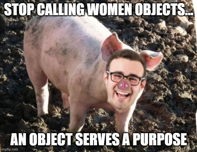 They're Not Objects | STOP CALLING WOMEN OBJECTS... AN OBJECT SERVES A PURPOSE | image tagged in sexist man pig | made w/ Imgflip meme maker