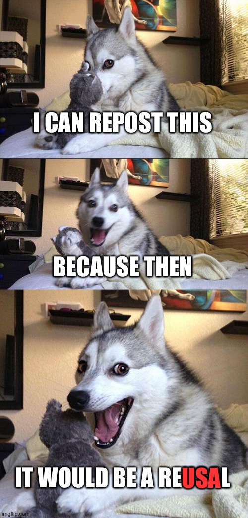 Bad Pun Dog Meme | I CAN REPOST THIS BECAUSE THEN IT WOULD BE A REUSAL USA | image tagged in memes,bad pun dog | made w/ Imgflip meme maker