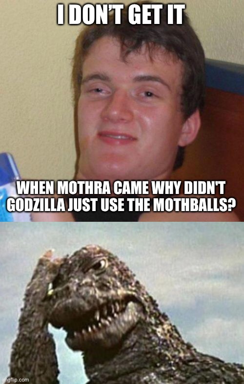 I DON’T GET IT; WHEN MOTHRA CAME WHY DIDN'T GODZILLA JUST USE THE MOTHBALLS? | image tagged in stoned guy,godzilla facepalm | made w/ Imgflip meme maker