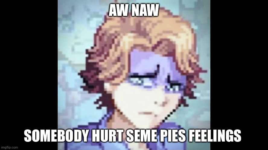 ę | AW NAW; SOMEBODY HURT SEME PIES FEELINGS | made w/ Imgflip meme maker