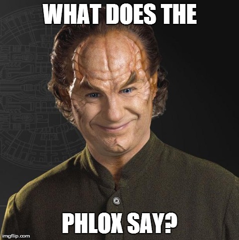 WHAT DOES THE PHLOX SAY? | image tagged in phloz | made w/ Imgflip meme maker