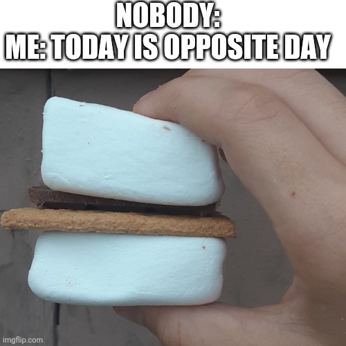 Opposite day | NOBODY:
ME: TODAY IS OPPOSITE DAY | image tagged in smores,memes,funny,fun | made w/ Imgflip meme maker