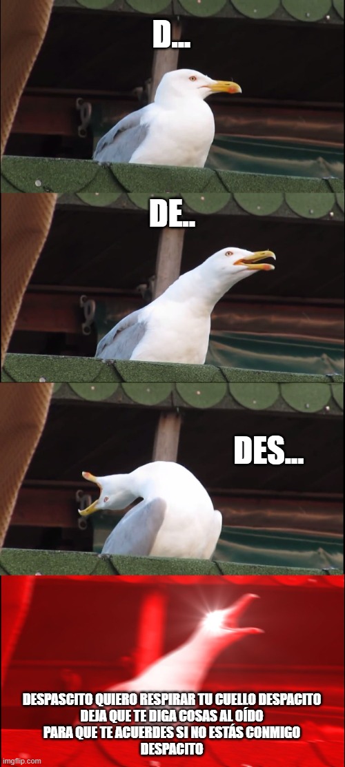 despascito seagull | D... DE.. DES... DESPASCITO QUIERO RESPIRAR TU CUELLO DESPACITO
DEJA QUE TE DIGA COSAS AL OÍDO
PARA QUE TE ACUERDES SI NO ESTÁS CONMIGO
DESPACITO | image tagged in memes,inhaling seagull | made w/ Imgflip meme maker