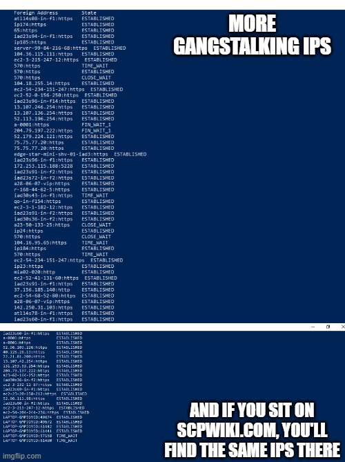 I stopped with the VPN once the Ex wife's "friend" messed with the gateway | MORE GANGSTALKING IPS; AND IF YOU SIT ON SCPWIKI.COM, YOU'LL FIND THE SAME IPS THERE | image tagged in scp,terrorist organization,book 'em dano,e | made w/ Imgflip meme maker