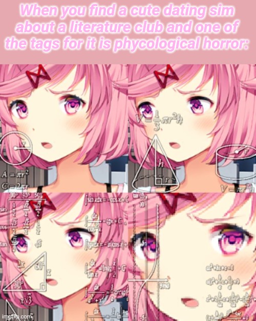 E | When you find a cute dating sim about a literature club and one of the tags for it is phycological horror: | image tagged in natsuki ddlc | made w/ Imgflip meme maker
