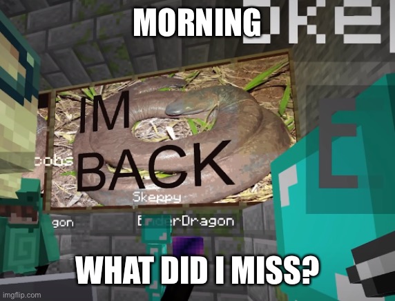 H | MORNING; WHAT DID I MISS? | image tagged in i'm back | made w/ Imgflip meme maker
