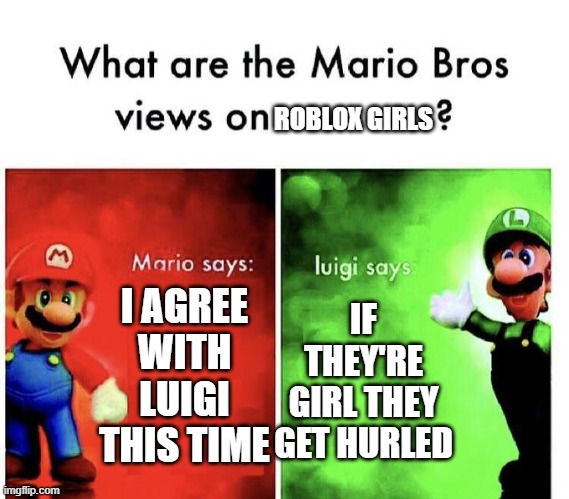 E | ROBLOX GIRLS; I AGREE WITH LUIGI THIS TIME; IF THEY'RE GIRL THEY GET HURLED | image tagged in mario bros views,arthur fist | made w/ Imgflip meme maker