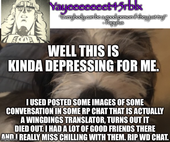 I know that none of you care but I wanted to post this anyway. | WELL THIS IS KINDA DEPRESSING FOR ME. I USED POSTED SOME IMAGES OF SOME CONVERSATION IN SOME RP CHAT THAT IS ACTUALLY A WINGDINGS TRANSLATOR, TURNS OUT IT DIED OUT. I HAD A LOT OF GOOD FRIENDS THERE AND I REALLY MISS CHILLING WITH THEM. RIP WD CHAT. | image tagged in yayeeeeeeet45rblx announcement | made w/ Imgflip meme maker