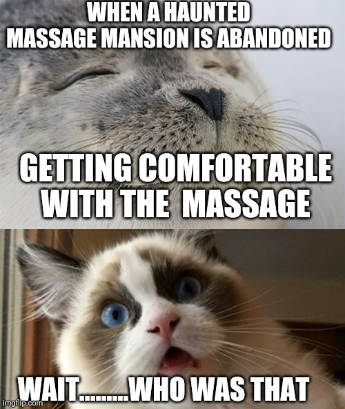 Cat 2 the catmax | WHEN A HAUNTED MASSAGE MANSION IS ABANDONED; GETTING COMFORTABLE WITH THE  MASSAGE; WAIT.........WHO WAS THAT | image tagged in memes,satisfied seal,whaat | made w/ Imgflip meme maker