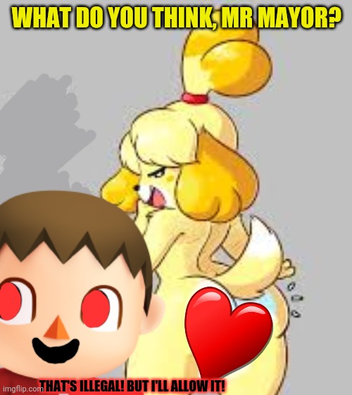 The cursed mayor's waifu | WHAT DO YOU THINK, MR MAYOR? THAT'S ILLEGAL! BUT I'LL ALLOW IT! | image tagged in waifu,animal crossing,isabelle,cute dog,but why why would you do that | made w/ Imgflip meme maker