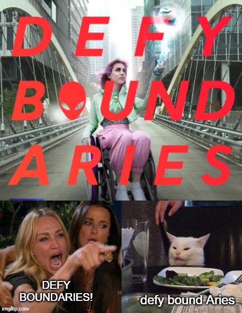 DEFYBOUNDARIES | defy bound Aries; DEFY BOUNDARIES! | image tagged in defyboundaries,memes,woman yelling at cat,wheelchair | made w/ Imgflip meme maker