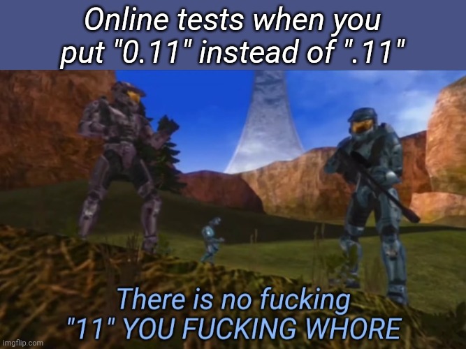 Relatable anyone? | Online tests when you put "0.11" instead of ".11" | image tagged in there is no fucking 11 you fucking whore | made w/ Imgflip meme maker
