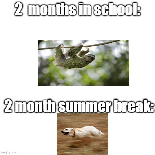 speed noises | 2  months in school:; 2 month summer break: | image tagged in memes,blank transparent square | made w/ Imgflip meme maker
