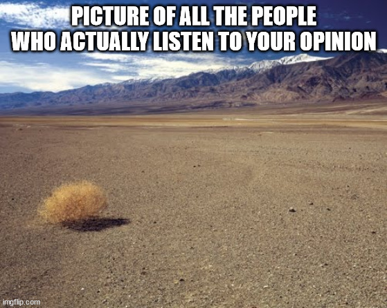 tumble weed | PICTURE OF ALL THE PEOPLE WHO ACTUALLY LISTEN TO YOUR OPINION | image tagged in tumble weed | made w/ Imgflip meme maker