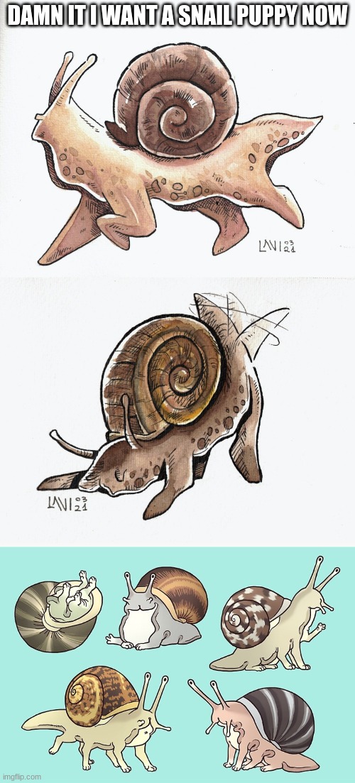 THEY ARE SO CUTE | DAMN IT I WANT A SNAIL PUPPY NOW | made w/ Imgflip meme maker