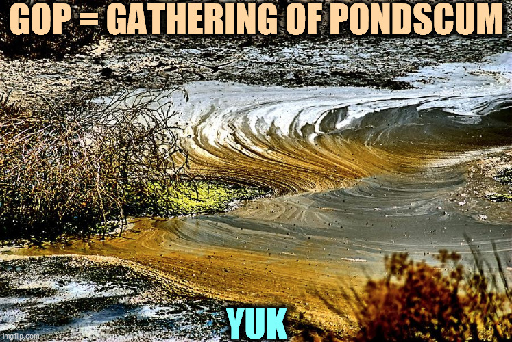 Define GOP. | GOP = GATHERING OF PONDSCUM; YUK | image tagged in gop,disgusting | made w/ Imgflip meme maker