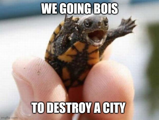 happy baby turtle | WE GOING BOIS TO DESTROY A CITY | image tagged in happy baby turtle | made w/ Imgflip meme maker