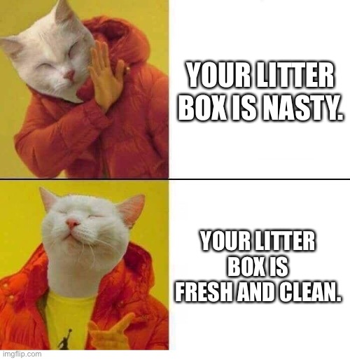cat drake | YOUR LITTER BOX IS NASTY. YOUR LITTER BOX IS FRESH AND CLEAN. | image tagged in cat drake | made w/ Imgflip meme maker