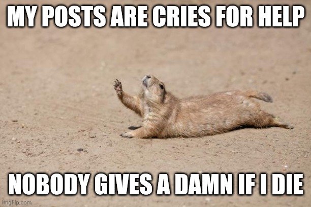 Desperately seeking help |  MY POSTS ARE CRIES FOR HELP; NOBODY GIVES A DAMN IF I DIE | image tagged in desperately seeking help,cry for help,suicide,goodbye | made w/ Imgflip meme maker