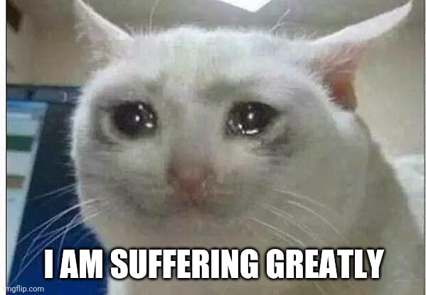 crying cat | I AM SUFFERING GREATLY | image tagged in crying cat | made w/ Imgflip meme maker