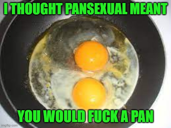 This is your brain on drugs | I THOUGHT PANSEXUAL MEANT YOU WOULD FUCK A PAN | image tagged in this is your brain on drugs | made w/ Imgflip meme maker