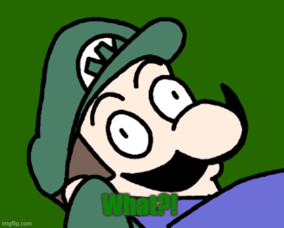 What?! | made w/ Imgflip meme maker