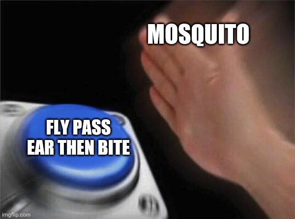 Mosquito | MOSQUITO; FLY PASS EAR THEN BITE | image tagged in memes,blank nut button | made w/ Imgflip meme maker