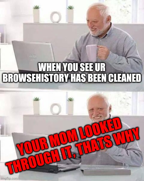 You know what's in your browser history | WHEN YOU SEE UR BROWSEHISTORY HAS BEEN CLEANED; YOUR MOM LOOKED THROUGH IT, THATS WHY | image tagged in memes,hide the pain harold | made w/ Imgflip meme maker