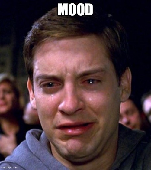 crying peter parker | MOOD | image tagged in crying peter parker | made w/ Imgflip meme maker