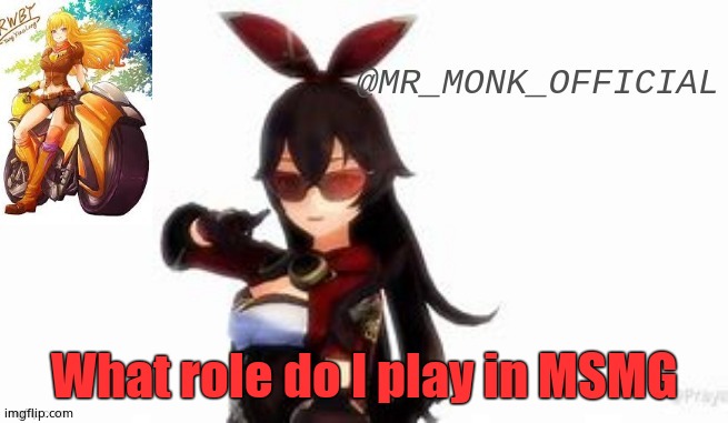 What role do I play in MSMG | made w/ Imgflip meme maker