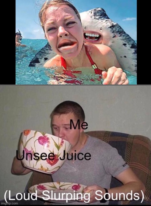 Drink up | image tagged in loud slurping sounds | made w/ Imgflip meme maker