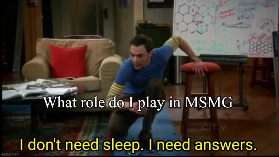 Tell me | What role do I play in MSMG | image tagged in i don t need sleep i need answers | made w/ Imgflip meme maker
