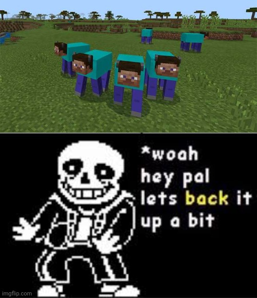Woah! | image tagged in me and the boys,woah hey pal lets back it up a bit,sans undertale,minecraft steve,cursed image | made w/ Imgflip meme maker