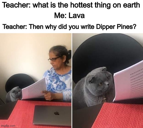 Dipper is hotter than a pit of lava |  Teacher: what is the hottest thing on earth; Me: Lava; Teacher: Then why did you write Dipper Pines? | image tagged in woman showing paper to cat | made w/ Imgflip meme maker