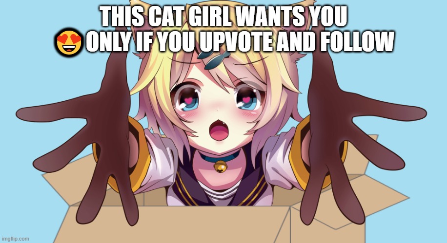 she simps for you? | THIS CAT GIRL WANTS YOU 😍ONLY IF YOU UPVOTE AND FOLLOW | image tagged in anime girl,cute | made w/ Imgflip meme maker