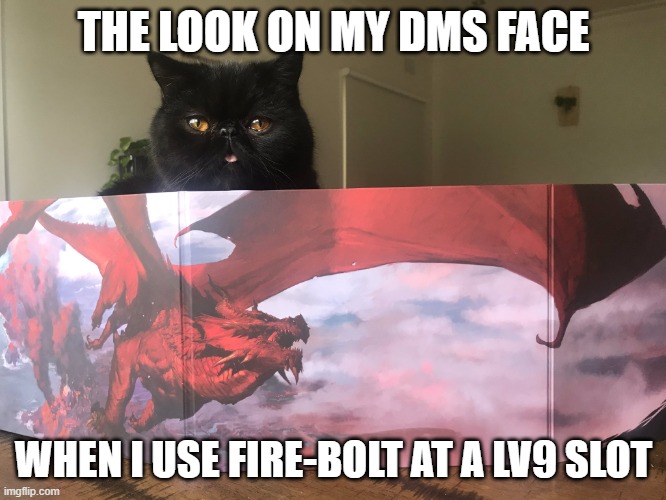 DnDCat | THE LOOK ON MY DMS FACE; WHEN I USE FIRE-BOLT AT A LV9 SLOT | image tagged in dndcat | made w/ Imgflip meme maker