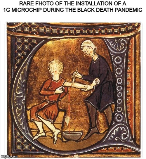 1st installation of a microchip | RARE FHOTO OF THE INSTALLATION OF A 1G MICROCHIP DURING THE BLACK DEATH PANDEMIC | image tagged in microchip,vaccines,middle age | made w/ Imgflip meme maker