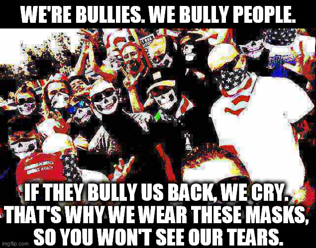 Snowflakes | WE'RE BULLIES. WE BULLY PEOPLE. IF THEY BULLY US BACK, WE CRY. 
THAT'S WHY WE WEAR THESE MASKS, 
SO YOU WON'T SEE OUR TEARS. | image tagged in proud boys deep-fried,right wing,terrorists,snowflakes | made w/ Imgflip meme maker