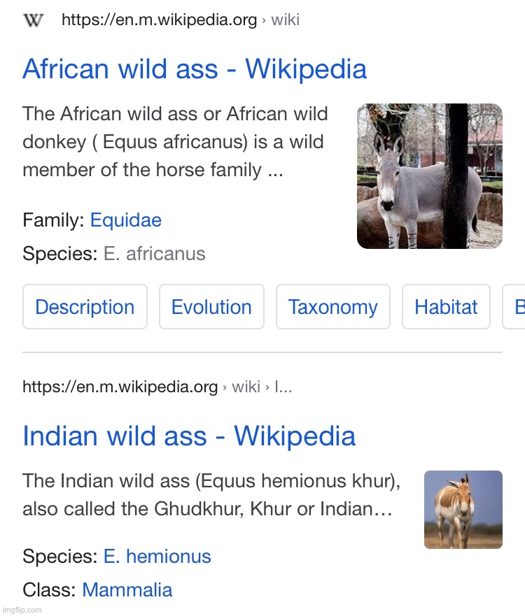 Its time to ride some asses tonight | made w/ Imgflip meme maker