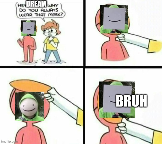 2020 YouTube rewind | DREAM; BRUH | image tagged in why are you wearing a mask | made w/ Imgflip meme maker