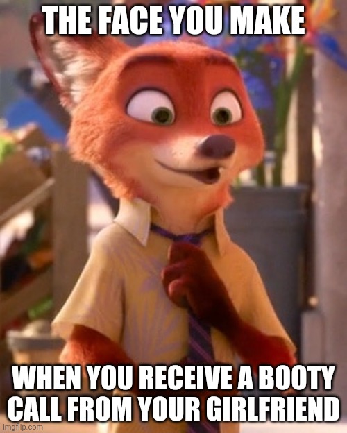 Nick Gets Lucky | THE FACE YOU MAKE; WHEN YOU RECEIVE A BOOTY CALL FROM YOUR GIRLFRIEND | image tagged in nick wilde excited,zootopia,nick wilde,the face you make when,funny,memes | made w/ Imgflip meme maker