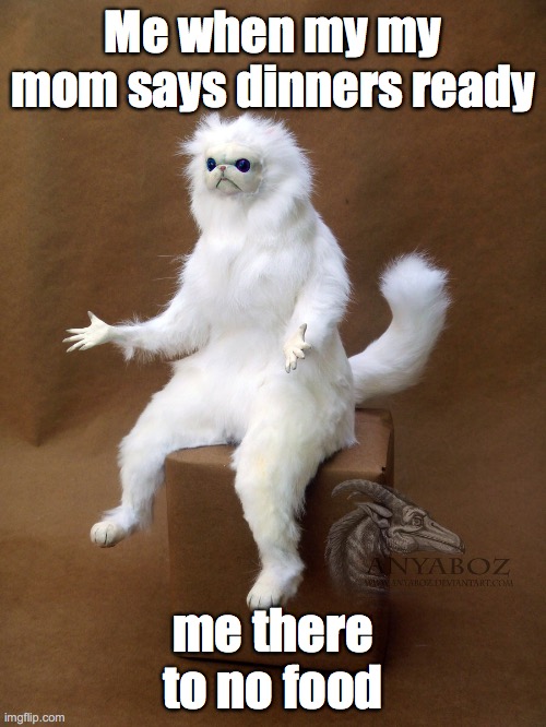 Persian Cat Room Guardian Single | Me when my my mom says dinners ready; me there to no food | image tagged in memes,persian cat room guardian single | made w/ Imgflip meme maker