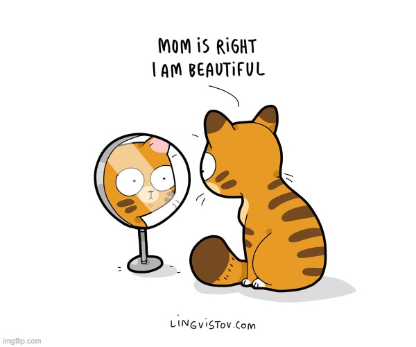 A Cat's Way Of Thinking | image tagged in memes,comics,cats,my mom,right,beautiful | made w/ Imgflip meme maker
