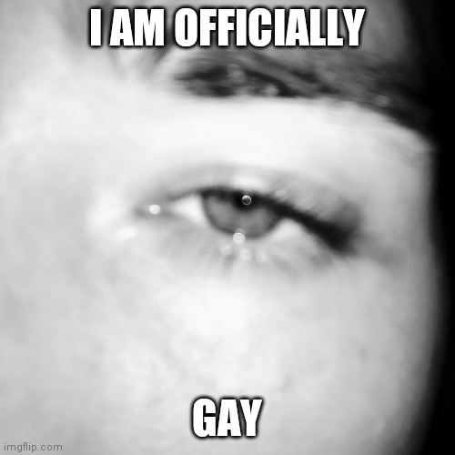 Stephen M. Green Is Off... | I AM OFFICIALLY; GAY | image tagged in stephen m green is officially x,stephenmgreen,youtubers,actors,artists,2021 | made w/ Imgflip meme maker