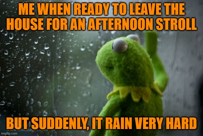 rain rain go away | ME WHEN READY TO LEAVE THE HOUSE FOR AN AFTERNOON STROLL; BUT SUDDENLY, IT RAIN VERY HARD | image tagged in kermit window | made w/ Imgflip meme maker