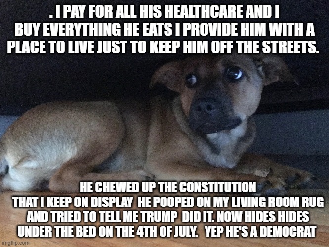 my dog's a democrat | . I PAY FOR ALL HIS HEALTHCARE AND I BUY EVERYTHING HE EATS I PROVIDE HIM WITH A PLACE TO LIVE JUST TO KEEP HIM OFF THE STREETS. HE CHEWED U | image tagged in dogs | made w/ Imgflip meme maker