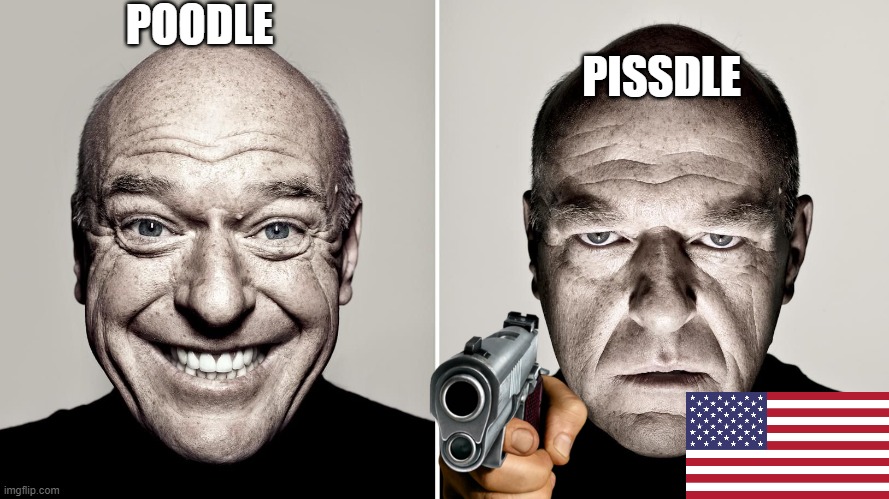 Dean Norris's reaction | POODLE; PISSDLE | image tagged in dean norris's reaction | made w/ Imgflip meme maker