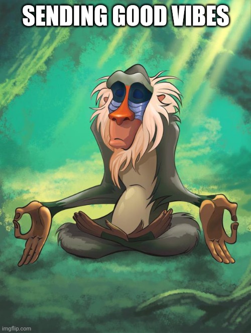 Rafiki wisdom | SENDING GOOD VIBES | image tagged in rafiki wisdom | made w/ Imgflip meme maker
