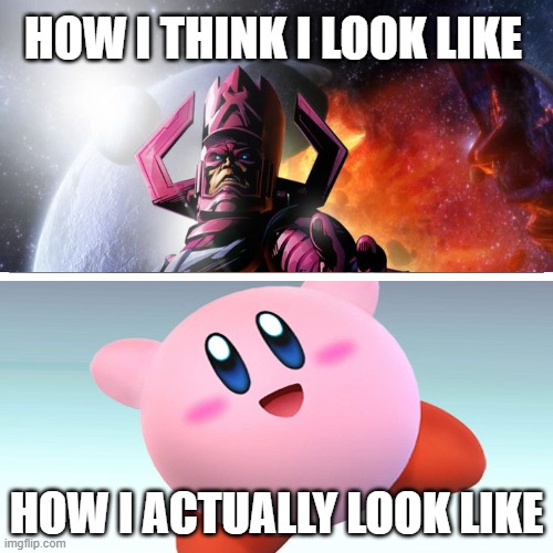 Just the outside! (Both are same) | HOW I THINK I LOOK LIKE; HOW I ACTUALLY LOOK LIKE | image tagged in how i think i look,galactus vs kirby | made w/ Imgflip meme maker
